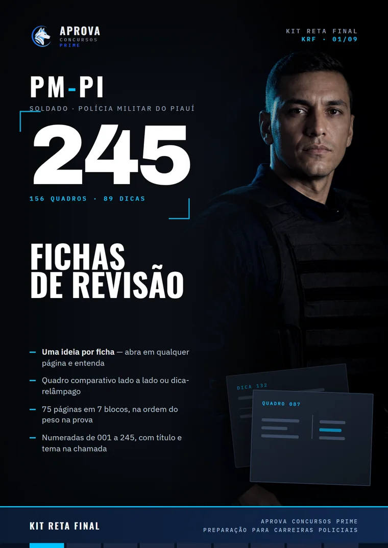 Capa do material 245 Fichas de Revisão